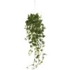 40-in Faux Green Pothos Hanging Basket – Lifelike Cascading Décor -Eds Plant Shop 40 faux green pothos hanging basket lifelike cascading decor 5411442