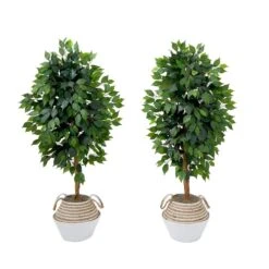 4.5-ft Artificial Ficus Tree With Double Trunk In Cotton & Jute Basket – DIY Kit (Set Of 2)