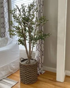 5-ft Mediterranean Olive Silk Tree – Lifelike Faux Foliage In Nursery Planter -Eds Plant Shop 5 ft mediterranean olive silk tree lifelike faux foliage in nursery planter 1882793