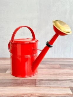 5 Liter- PLINT Watering Can- With Removable Sprinkler Head -Eds Plant Shop 5 liter plint watering can with removable sprinkler head 295909