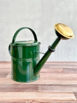 5 Liter- PLINT Watering Can- With Removable Sprinkler Head -Eds Plant Shop 5 liter plint watering can with removable sprinkler head 346207