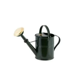5 Liter- PLINT Watering Can- With Removable Sprinkler Head -Eds Plant Shop 5 liter plint watering can with removable sprinkler head 681522