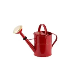 5 Liter- PLINT Watering Can- With Removable Sprinkler Head -Eds Plant Shop 5 liter plint watering can with removable sprinkler head 835454