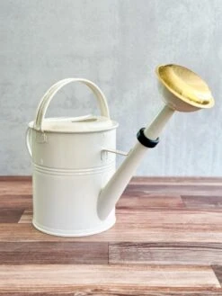 5 Liter- PLINT Watering Can- With Removable Sprinkler Head -Eds Plant Shop 5 liter plint watering can with removable sprinkler head 971022