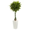 5.5-ft Artificial Money Tree In White Tower Planter -Eds Plant Shop 55 artificial money tree in white tower planter 476259