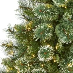 6-ft Wisconsin Slim Snow Tip Pine Tree – Compact Elegance For Holiday Cheer -Eds Plant Shop 6 wisconsin slim snow tip pine tree compact elegance for holiday cheer 597547