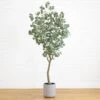 7.5-ft Faux Eucalyptus Tree | Realistic Indoor Greenery – Ed's Plant Shop 2 7.5-ft Faux Eucalyptus Tree | Realistic Indoor Greenery – Ed's Plant Shop -Eds Plant Shop 75 faux eucalyptus tree realistic indoor greenery eds plant shop 204024