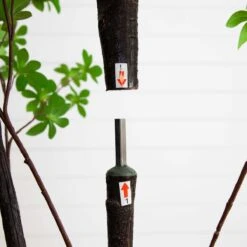 8-ft Artificial Minimalist Enkianthus Tree -Eds Plant Shop 8 artificial minimalist enkianthus tree 814752