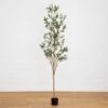 82-in Artificial Olive Tree – Tall, Rustic & Lifelike Décor Accent -Eds Plant Shop 82 artificial olive tree tall rustic lifelike decor accent 276168