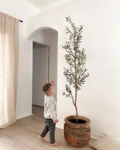 82-in Artificial Olive Tree – Tall, Rustic & Lifelike Décor Accent -Eds Plant Shop 82 artificial olive tree tall rustic lifelike decor accent 358296