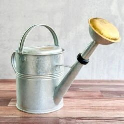 9 Liter- PLINT Watering Can With Removable Sprinkler Head -Eds Plant Shop 9 liter plint watering can with removable sprinkler head 741291