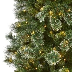 9-ft Slim Snow Tip Pine Tree – A Tall, Festive Elegance For Any Space -Eds Plant Shop 9 slim snow tip pine tree a tall festive elegance for any space 738309