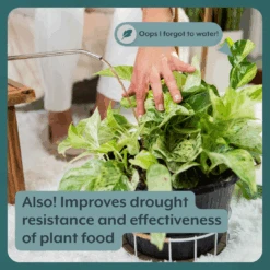 Thrive Bundle (Online Only) (Plant Food + Probiotics) For HOUSEPLANTS -Eds Plant Shop IPS 5 ba4bb5bc 7f13 4d0d abe2 b6290b26a66c