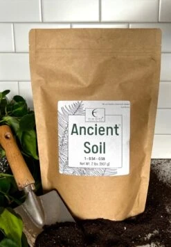 Ancient Soil - Premium Soil For Houseplants -Eds Plant Shop ancient soil premium soil for houseplants 299356