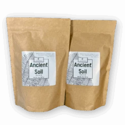 Ancient Soil - Premium Soil For Houseplants -Eds Plant Shop ancient soil premium soil for houseplants 657470