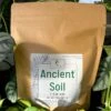 Ancient Soil - Premium Soil For Houseplants -Eds Plant Shop ancient soil premium soil for houseplants 682853