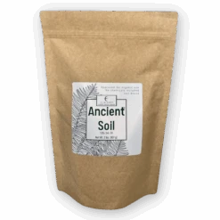 Ancient Soil - Premium Soil For Houseplants -Eds Plant Shop ancient soil premium soil for houseplants 888685