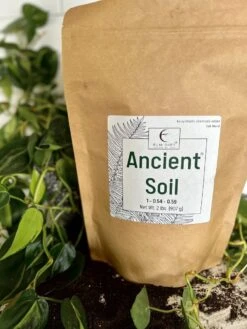Ancient Soil - Premium Soil For Houseplants -Eds Plant Shop ancient soil premium soil for houseplants 951013