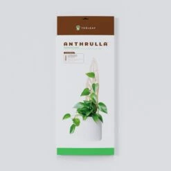 Anthrulla - Anthurium Inspired Plant Trellis -Eds Plant Shop anthrulla anthurium inspired plant trellis 151563