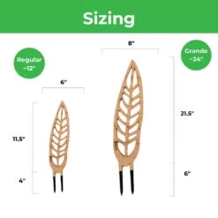 Anthrulla - Anthurium Inspired Plant Trellis -Eds Plant Shop anthrulla anthurium inspired plant trellis 306914