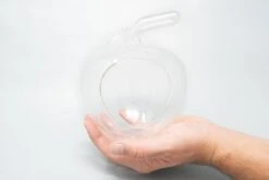 Apple Terrarium With Pebble Kit And Tillandsia Air Plants -Eds Plant Shop apple terrarium with pebble kit and tillandsia air plants 4631508