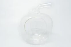 Apple Terrarium With Pebble Kit And Tillandsia Air Plants -Eds Plant Shop apple terrarium with pebble kit and tillandsia air plants 9884236