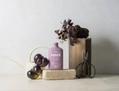 Arber Bio Fungicide – 16oz Concentrate -Eds Plant Shop arber bio fungicide 16oz concentrate 530477