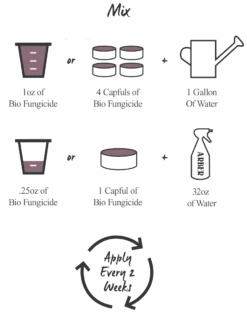 Arber Bio Fungicide – 16oz Concentrate -Eds Plant Shop arber bio fungicide 16oz concentrate 728579