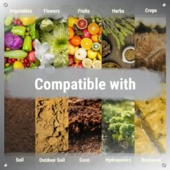 Armadillo Armour – Monosilicic Acid For Stronger, Healthier Plants -Eds Plant Shop armadillo armour monosilicic acid for stronger healthier plants 696640