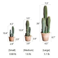 Artificial Cactus In Brown Pot – Realistic Faux Plant (3 Sizes) 23 Artificial Cactus In Brown Pot – Realistic Faux Plant (3 Sizes) -Eds Plant Shop artificial cactus in brown pot realistic faux plant 3 sizes 916322