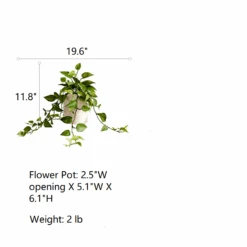 Artificial Devil's Ivy Plant In White Pot -Eds Plant Shop artificial devils ivy plant in white pot 114406