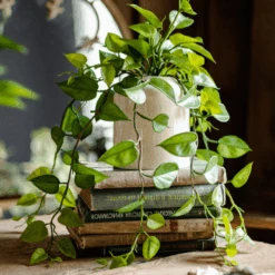 Artificial Devil's Ivy Plant In White Pot
