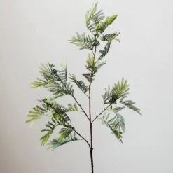 Artificial Faux Acacia Plant Stem 47" Tall -Eds Plant Shop artificial faux acacia plant stem 47 tall 401742