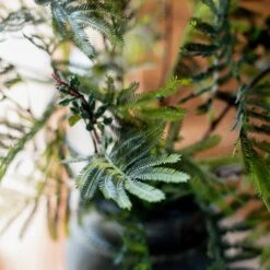 Artificial Faux Acacia Plant Stem 47" Tall -Eds Plant Shop artificial faux acacia plant stem 47 tall 478063