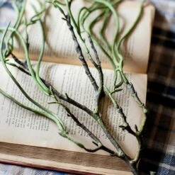 Artificial Faux Let Fall Plant Stem 29" Tall -Eds Plant Shop artificial faux let fall plant stem 29 tall 643633