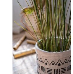 Artificial Faux Rough Horsetail Plant Long Stem 54" Tall -Eds Plant Shop artificial faux rough horsetail plant long stem 54 tall 617488