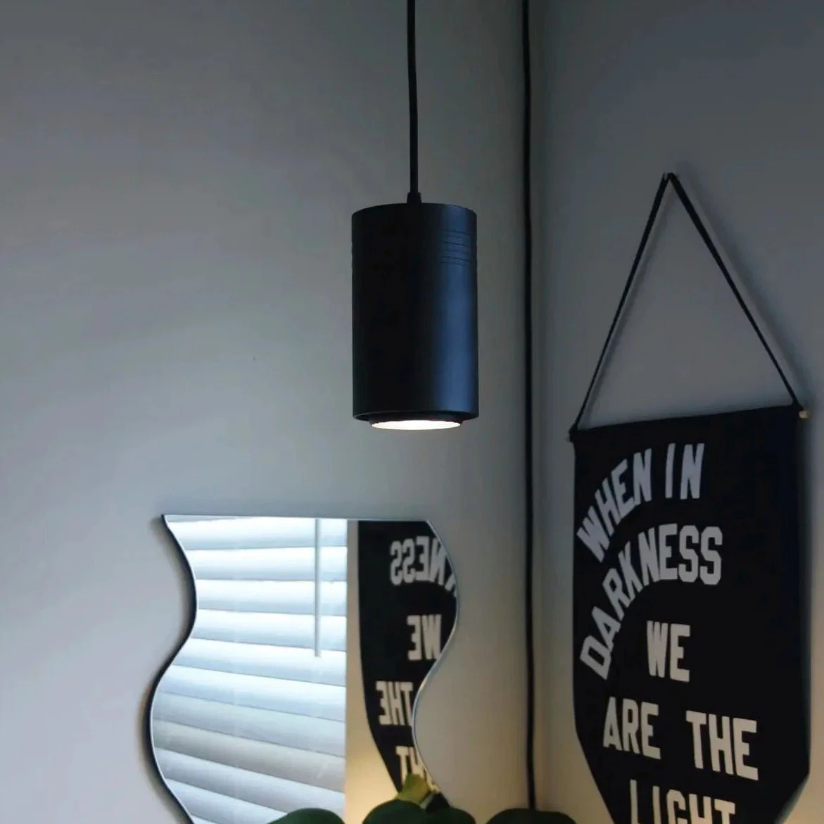 Aspect Growlight | Pendant Style LED Indoor Plant Light 14 Aspect Growlight | Pendant Style LED Indoor Plant Light - Image 12