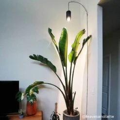 Aspect™ LED Grow Light Starter Set – Grow In Style -Eds Plant Shop aspect led grow light starter set grow in style 577213