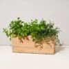 Bamboo Smart Hydroplanter