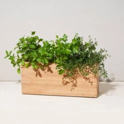 Bamboo Smart Hydroplanter