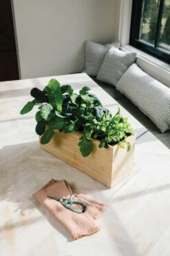 Bamboo Smart Hydroplanter -Eds Plant Shop bamboo smart hydroplanter 194105