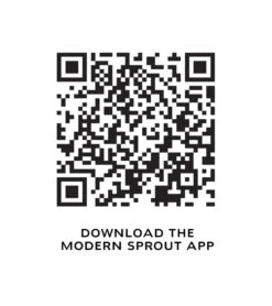 Bamboo Smart Hydroplanter -Eds Plant Shop bamboo smart hydroplanter 525516