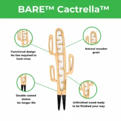 BARE™ Cactrella™ - Customizable Wooden Plant Support - Inspired By The Barrel Cactus -Eds Plant Shop bare cactrella customizable wooden plant support inspired by the barrel cactus 4172865