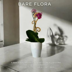 BARE™ Flora™ – Customizable Wooden Floral Plant Trellis For Indoor Climbing Plants -Eds Plant Shop bare flora customizable wooden floral plant trellis for indoor climbing plants 7556648