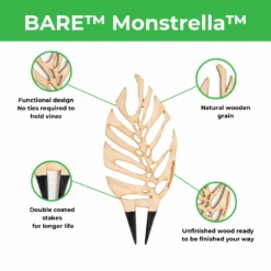 BARE™ Monstrella™ – Customizable Wooden Plant Trellis For Indoor Climbing Plants -Eds Plant Shop bare monstrella customizable wooden plant trellis for indoor climbing plants 7165519