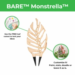 BARE™ Monstrella™ – Customizable Wooden Plant Trellis For Indoor Climbing Plants -Eds Plant Shop bare monstrella customizable wooden plant trellis for indoor climbing plants 8045973