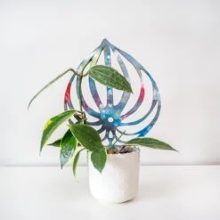 BARE™ Peptrella™ Plant Trellis – Customizable Birch Wood Support Inspired By Peperomia -Eds Plant Shop bare peptrella plant trellis customizable birch wood support inspired by peperomia 6928396