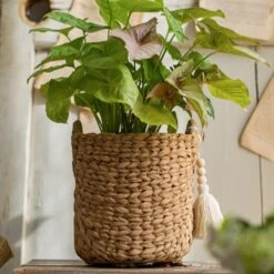 Basket Weave Cement Planter - Various Sizes -Eds Plant Shop basket weave cement planter various sizes 112286