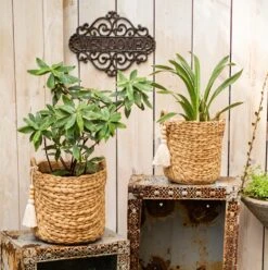 Basket Weave Cement Planter - Various Sizes -Eds Plant Shop basket weave cement planter various sizes 212091