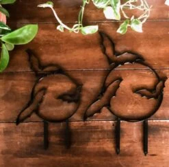 Bats Houseplant Trellis -Eds Plant Shop bats houseplant trellis 237227